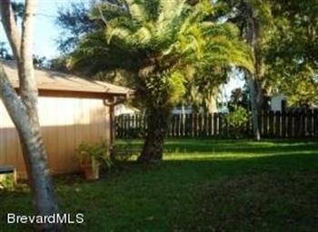 Side Yard 2