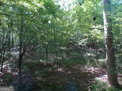 0 Briarpatch Dr unit 10562648, Covington, GA 30014 - photo 3