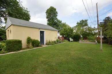 Backyard (3)