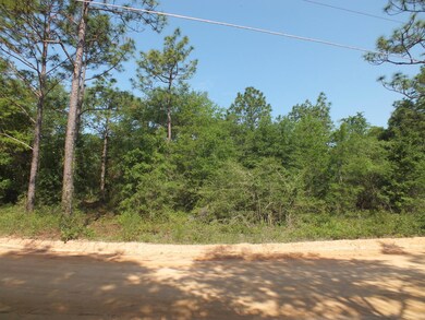 Lot 20