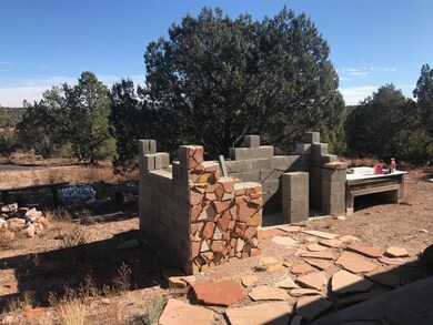 0 Cooks Trail unit 1026045, Ash Fork, AZ 86320 - photo 4