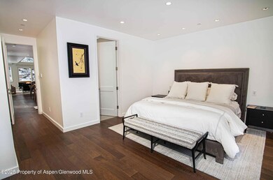 1018 E Hyman Ave unit 1, Aspen, CO 81611 - photo 7