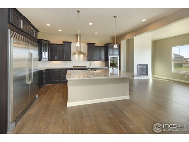 5694 Riverbluff Dr, Timnath, CO 80547 - photo 6