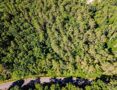 0 King Rd unit Lot 93 4918323, Chichester, NH 03258 - photo 2