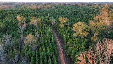 104 Gammage Rd, Pittsview, AL 36871 - photo 5