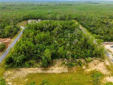 8109 N Wayside Ave, Dunnellon, FL 34433 - photo 6