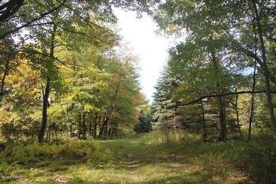 690 Church St, Moscow, PA 18444 - photo 7