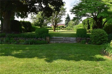 Park-like back yard