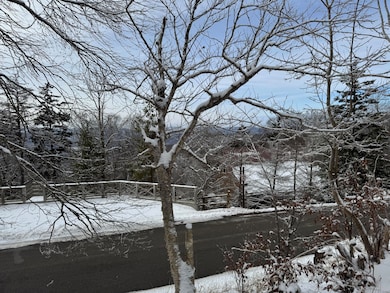 361 N Westridge Rd, Snowshoe, WV 24934 - photo 5