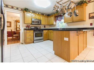 8913 Adams Run Ct, Louisville, KY 40228 - photo 6