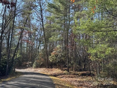 137 Nancy Ashworth Ln unit 13, Fairview, NC 28730 - photo 5