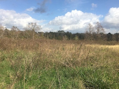 15859 Woodhollow Dr, Conroe, TX 77385 - photo 5