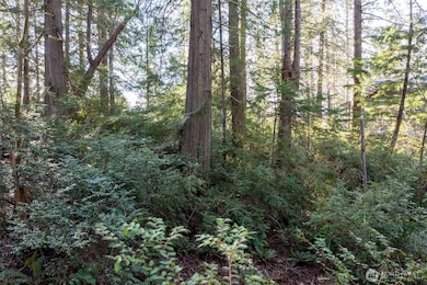 432 E Pointes Dr E, Shelton, WA 98584 - photo 3