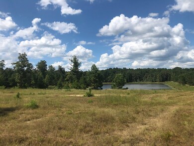 TBD Cr 225, Oxford, MS 38655 - photo 6