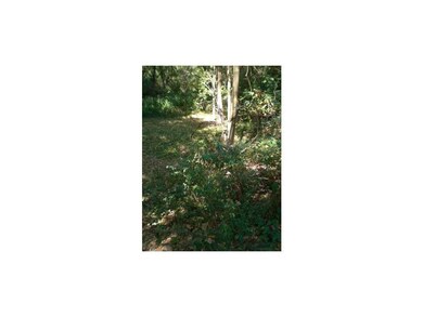 Yard. High and dry heavily wooded one and a half a