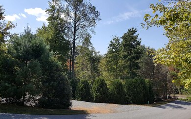 Additional View