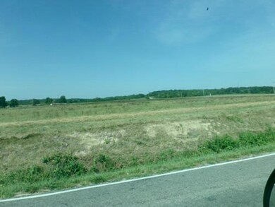 Field 6