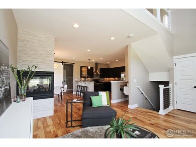 433 Osiander St, Fort Collins, CO 80524 - photo 4