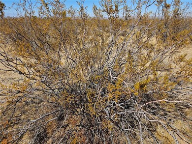 0 Avenue R unit AR25060984, Palmdale, CA - photo 2