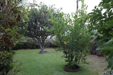 Front Yard Fruit Trees
