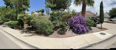 1351 Mckinley Ave, Alamogordo, NM 88310 - photo 4