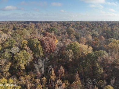 0 Paradise Rd, Bentonia, MS 39040 - photo 5