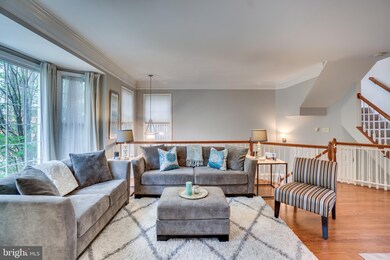 4637 Kemp Ct, Alexandria, VA 22311 - photo 6