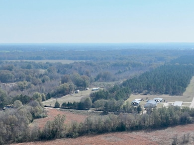 0002 Pisgah Bottom Rd, Canton, MS 39046 - photo 5