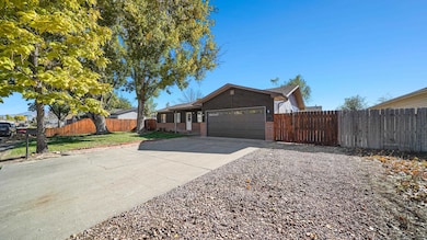 3013 1/2 Country Rd, Grand Junction, CO 81504 - photo 5