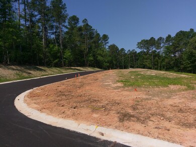 Lot 17 True Cedar Way, Aiken, SC 29803 - photo 2