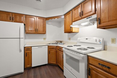 8-web-or-mls-DSC05648