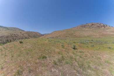 2830 Antoine Creek (Lot B) Rd, Chelan, WA 98816 - photo 3