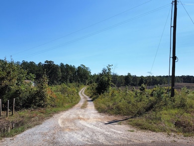 0 State Highway 790, Ackerman, MS 39735 - photo 5