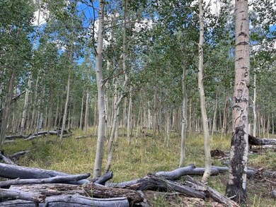 1022 N Dry Lakes Rd unit GMA 2 Blk D 12, Brian Head, UT 84719 - photo 7