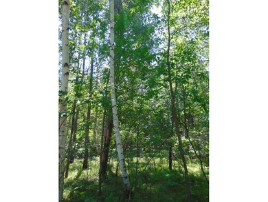 304 Birch Briar Ln, Park Rapids, MN 56470 - photo 3