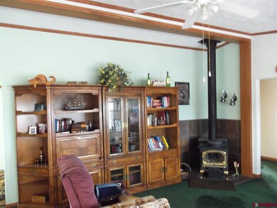 0 Montezuma Rd unit 725736, Fort  Garland, CO 81133 - photo 7