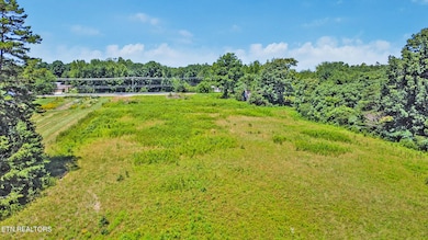 4805 S York Hwy, Jamestown, TN 38556 - photo 4