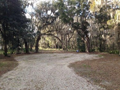 LT 18 Carnochan Bluff, Darien, GA 31305 - photo 2