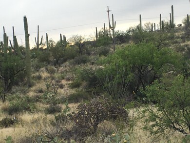Rinconado Estates Lot 1