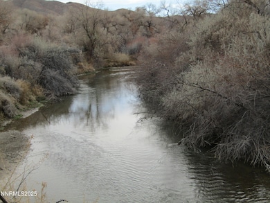 158 E Walker Rd, Yerington, NV 89447 - photo 4