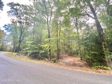 Lot 1 Gailey Hill Rd, Lake Luzerne, NY 12846 - photo 5