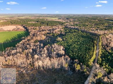 0 Thomas Rd unit 163843, Millen, GA 30442 - photo 4