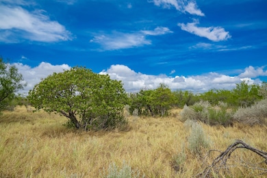 Tx-16, Hebbronville, TX 78361 - photo 6