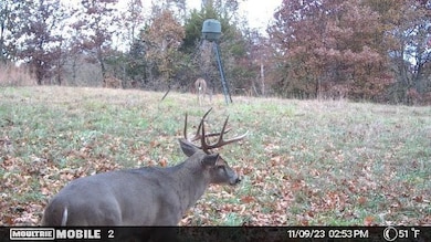 11138 Georgia Flat Rd, Gravette, AR 72736 - photo 5