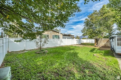 View of fenced backyard