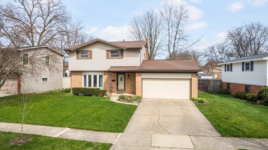 3-web-or-mls-DJI_0348