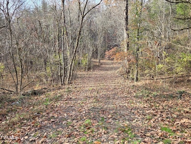 355 N Austin Springs Rd, Piney Flats, TN 37686 - photo 6