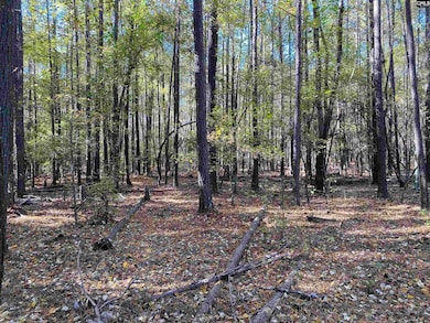 0 Woodthrush Rd, Chapin, SC 29036 - photo 5
