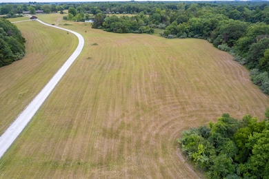 DJI_0304