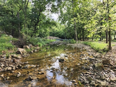 9551 Highway Ff, Mountain Grove, MO 65711 - photo 3